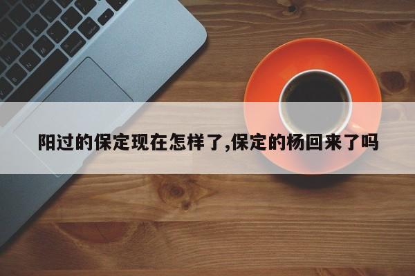 阳过的保定现在怎样了,保定的杨回来了吗